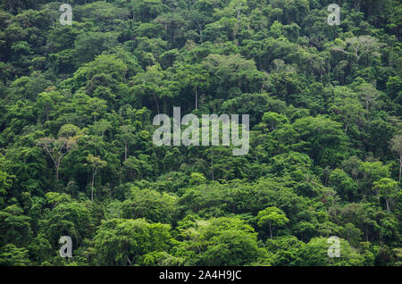 Paesaggio nel Parco Nazionale Tayrona, una area protetta situata nel dipartimento di Magdalena sul lato caraibico della Colombia Foto Stock