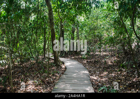 Arrecifes trail nel Parco Nazionale Tayrona, una area protetta situata nel dipartimento di Magdalena sul lato caraibico della Colombia Foto Stock