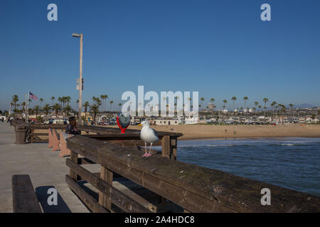 Balboa Pier a Newport Beach in California Foto Stock