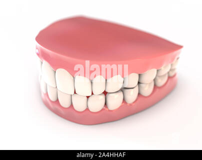 Una coppia di superiore e inferiore di insiemi di perfetta denti umani impostato nelle gengive isolato su un background - 3D render Foto Stock