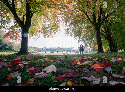 Vancouver, Canada. Xiv oct, 2019. Caduto Foglie di autunno con diversi colori coprire il terreno a Trout Lake Park in Vancouver, Canada, il 14 ottobre 2019. Credito: Liang Sen/Xinhua/Alamy Live News Foto Stock