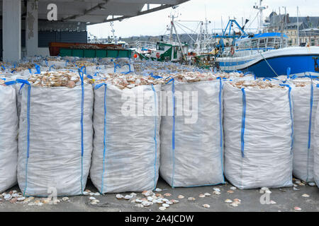 Sacchetti con smerlo vuoto guscio per la trasformazione e barche per la cattura di capesante Foto Stock