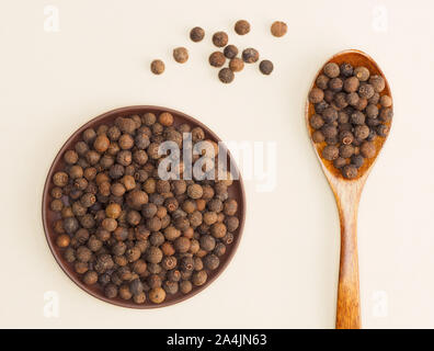 Spezie ed erbe contribuiscono a mantenere in buona salute e a migliorare l'appetito, vista dall'alto su sfondo beige. Pepe della Giamaica in lastra di argilla e il cucchiaio di legno. Apothec moderno Foto Stock