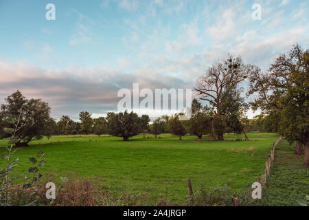 Vista panoramica della riserva naturale in autunno Foto Stock