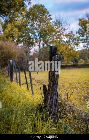 Antica recinzione con filo spinato Foto Stock