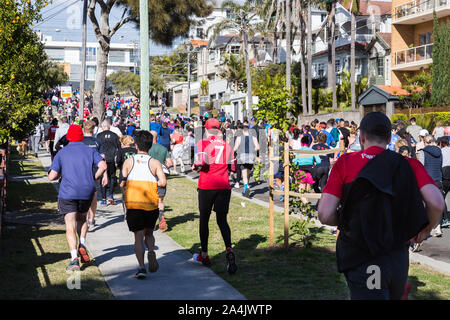City2Surf, Sydney, Australia. Runners passing through the eastern suburbs of Military Road, Dover Heights. Foto Stock