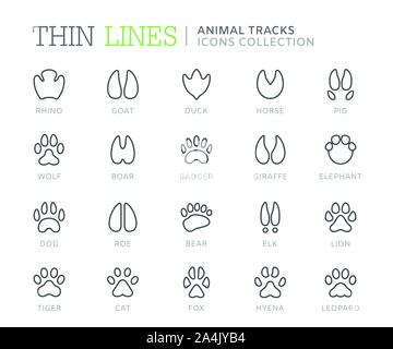 Raccolta di tracce degli animali le icone della linea. Eps vettoriali8 Illustrazione Vettoriale
