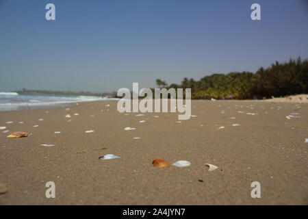 Spiaggia in Africa con conchiglie in un giorno caldo Foto Stock