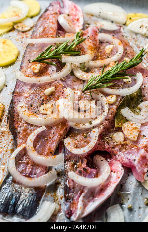 Materie di spigola Filetto di pesce con cipolle, patate e rosmarino nel vassoio da forno con la carta in forno pronto per cucinare. Alimenti biologici. Foto Stock