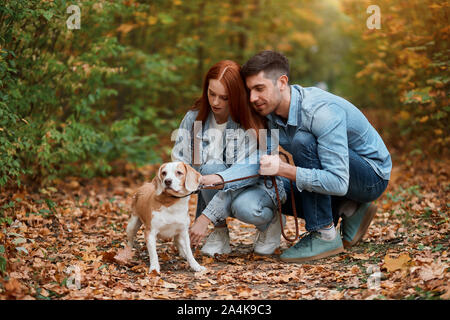 Famiglia giovane carezze mentre pet avente un periodo di riposo dopo le passeggiate nel parco a piena lunghezza foto. un paesaggio fantastico sullo sfondo della foto Foto Stock