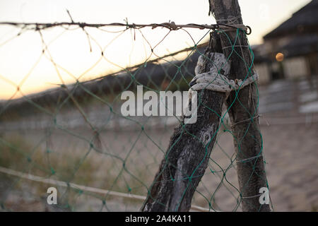 I nodi nel legno rami #4 Foto Stock