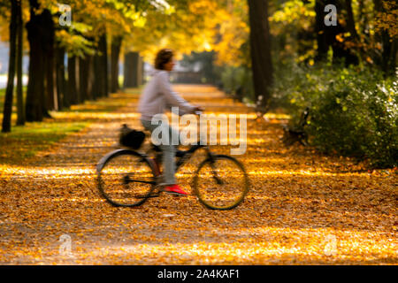 Dresden, Germania. 15 ottobre, 2019. Un ciclista è fuori nel grande giardino (lunga esposizione). Soleggiato e con temperature intorno ai venti gradi l'autunno Meteo in Sassonia mostra il suo lato bello. Credito: Jens Büttner/dpa-Zentralbild/dpa/Alamy Live News Foto Stock