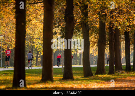 Dresden, Germania. 15 ottobre, 2019. Per i ciclisti e per inline skater sono fuori e circa in un grande giardino con il suo autunno-alberi colorati. Soleggiato e con temperature intorno ai venti gradi l'autunno Meteo in Sassonia mostra il suo lato bello. Credito: Jens Büttner/dpa-Zentralbild/dpa/Alamy Live News Foto Stock