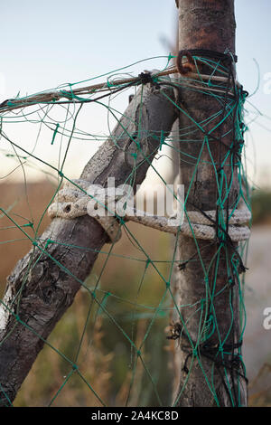 I nodi nel legno rami #3 Foto Stock