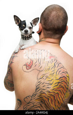 L'uomo ricoperto in azienda tattoes chihuahua Foto Stock