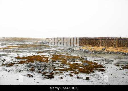 Rack di asciugatura in RÂØst Foto Stock