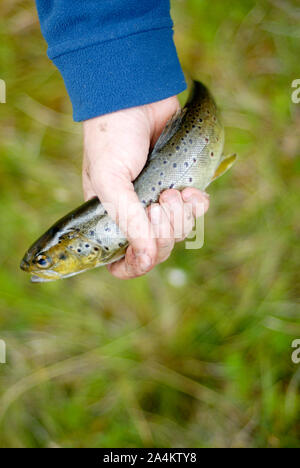 Giovane ragazzo di pesca Foto Stock