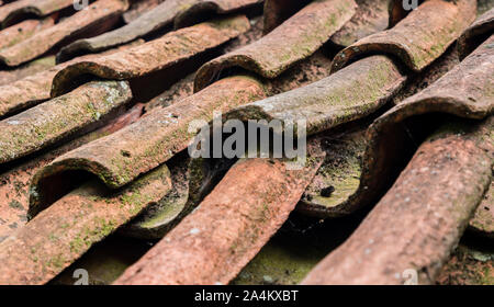 Vecchio tetto in tegole sul tetto Foto Stock