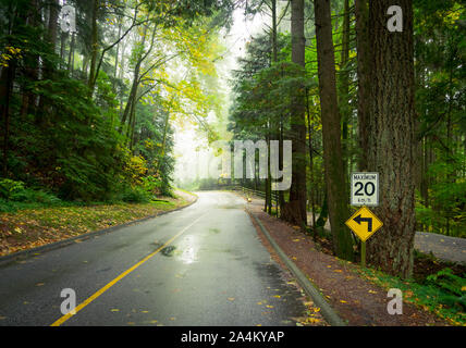 Una nebbia strada forestale (Capilano Park Road) nella foresta pluviale costiera nel fiume Capilano Parco Regionale in North Vancouver, British Columbia, Canada. Foto Stock