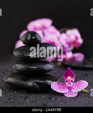 Zen pietre con fiori di orchidea su sfondo nero con gocce d'acqua Foto Stock