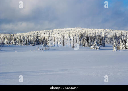 Inverno in SjusjÂØen Foto Stock