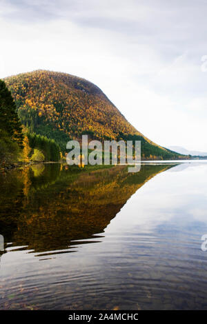 Lago Rotevatnet in Volda in Norvegia Foto Stock