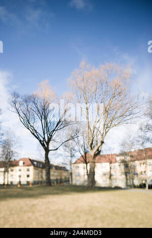 Alberi in Torshovparken. Foto Stock