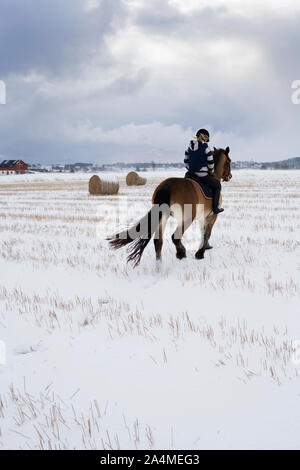 Ragazza di equitazione in Vigra Foto Stock