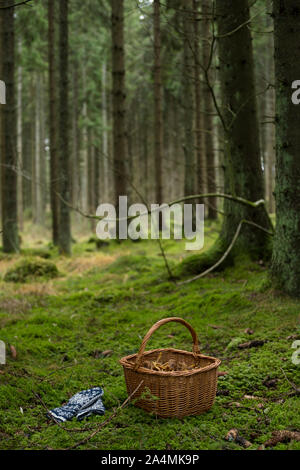 I funghi nel cestello Foto Stock