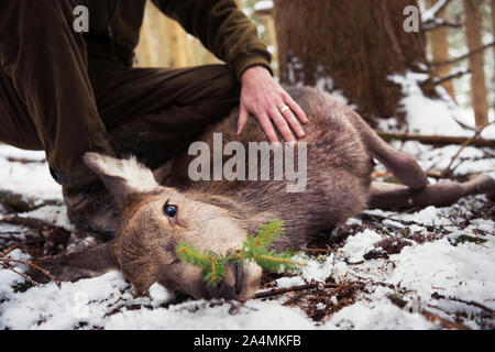 Hunter vicino cervi morti Foto Stock