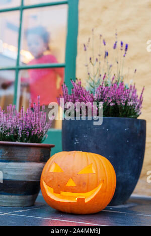 Zucca lanterna di fronte di vasi con erica Foto Stock