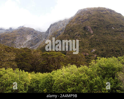 Incontaminato habitat di montagna nel Parco Nazionale di Fiordland, Isola del Sud della Nuova Zelanda Foto Stock