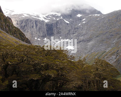 Incontaminato habitat di montagna nel Parco Nazionale di Fiordland, Isola del Sud della Nuova Zelanda Foto Stock