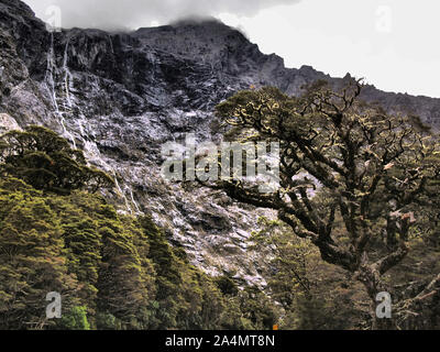 Incontaminato habitat di montagna nel Parco Nazionale di Fiordland, Isola del Sud della Nuova Zelanda Foto Stock