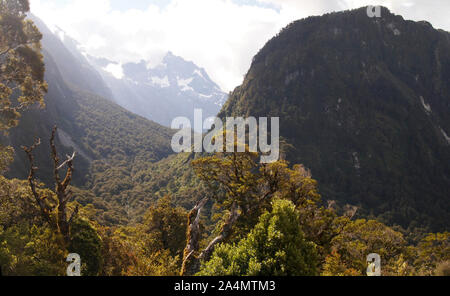 Incontaminato habitat di montagna nel Parco Nazionale di Fiordland, Isola del Sud della Nuova Zelanda Foto Stock