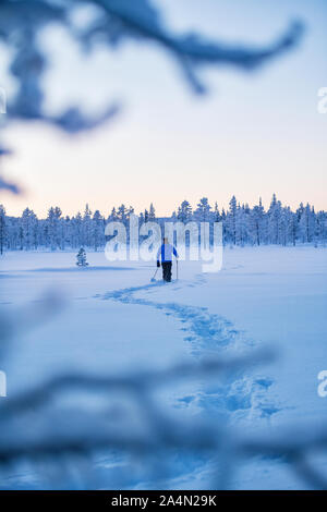 Sci di fondo Foto Stock