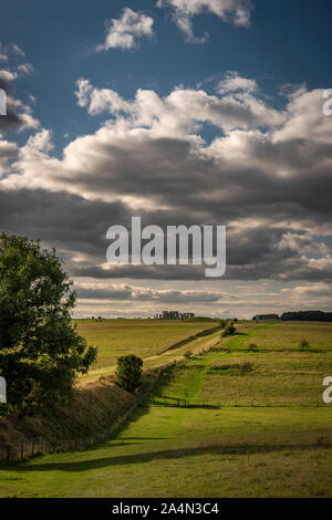 Il sito di Stonehenge nel suo paesaggio sulla Piana di Salisbury, Wiltshire, Regno Unito Foto Stock