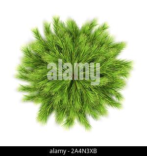 Wreath del vettore di Natale Illustrazione Vettoriale