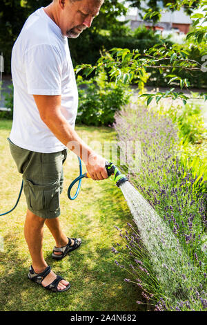 Uomo giardino di irrigazione Foto Stock