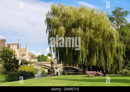 La gente seduta al di sotto di un salice piangente albero dal fiume Welland in città prati park. Stamford, Lincolnshire, Inghilterra, Regno Unito, Gran Bretagna Foto Stock