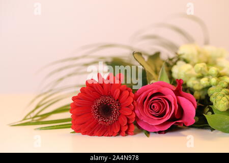 Bouquet di rosso e mentre i fiori la posa su un colore neutro tabella. Rosa rosa, rosso gerbera, piccoli fiori bianchi e alcune foglie verdi. Bellissimo regalo! Foto Stock