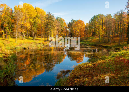 Meraviglioso paesaggio autunnale con un bel colore giallo e arancione alberi colorati, lago o fiume, verticale Foto Stock