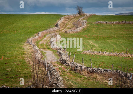 Sassoso sentiero o il sentiero che conduce su per la collina verso un cielo nuvoloso ,con muri in pietra a secco su entrambi i lati ,Lozere , Francia. Foto Stock