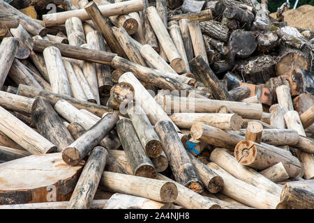 Rifiuti di legno, per ulteriore trattamento come legna da ardere, trucioli di legno, Foto Stock