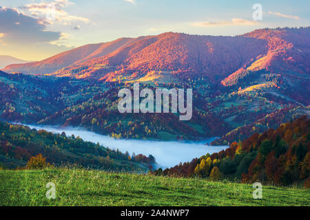 Magica sunrise in montagna. valle piena di nebbia. bellissimo paesaggio autunnale. alberi a foglie colorate. atmosfera idilliaca della campagna dei Carpazi Foto Stock