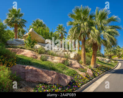 Curato di paesaggi del deserto comprendente palme, piante, fiori, Foto Stock