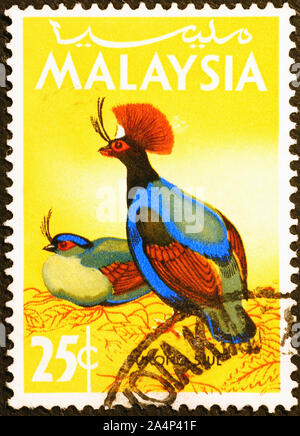 Belli uccelli malese sul francobollo Foto Stock