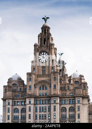 Royal Liver Building, una delle tre Grazie, sul lungomare di Liverpool con fegato di uccelli, REGNO UNITO Foto Stock