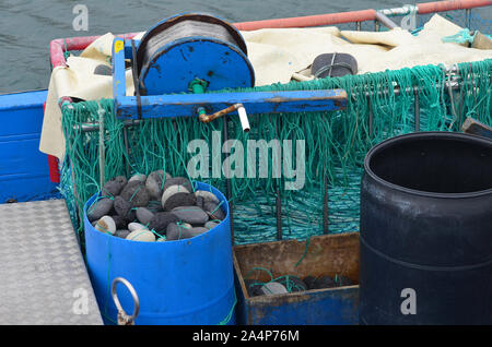 Artigianale di deep-set handline dei pescherecci e degli attrezzi da pesca a Ponta Delgada porto, isole Azzorre (Portogallo) Foto Stock