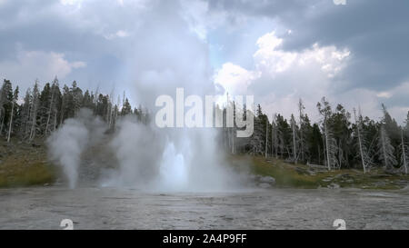 Ampia vista del grand geyser che erutta a Yellowstone Foto Stock